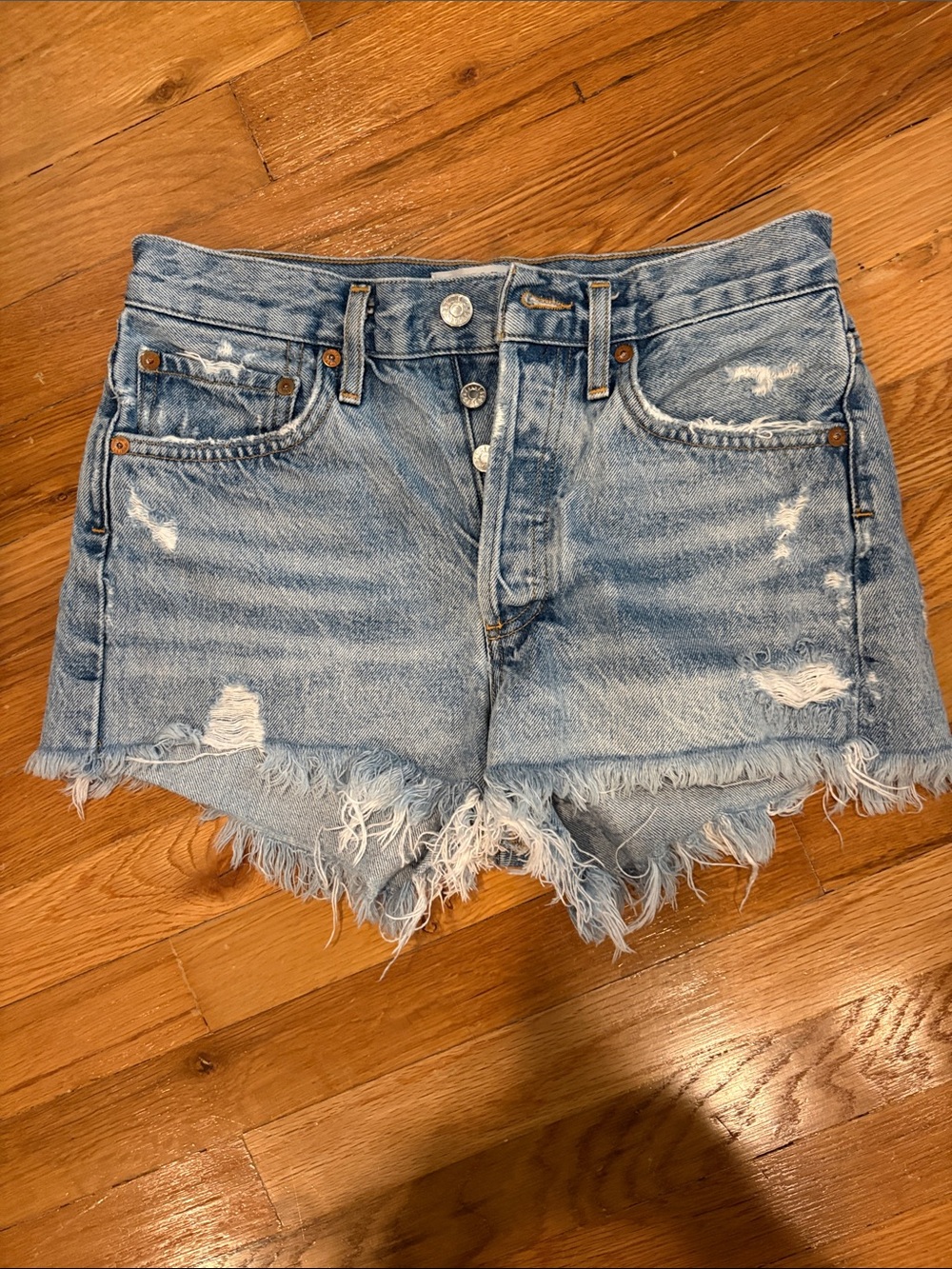 Parker vintage cutoff distressed high waist denim Agolde shorts